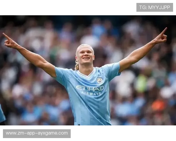 哈兰德成冬窗焦点，哈兰德成长