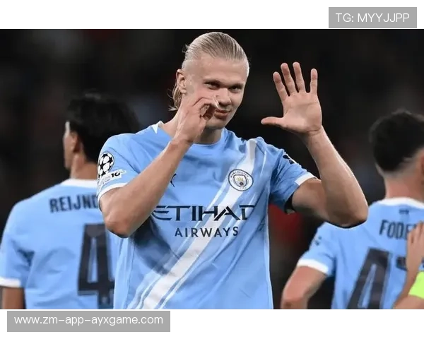 哈兰德终结效率保持稳定