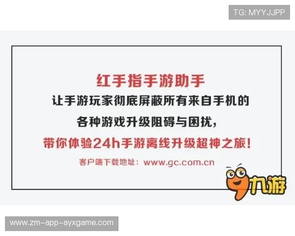 琜队如何建立青训师资的培训与晋升体系，青训队招聘条件